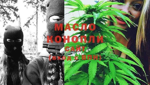 дмт Мегион