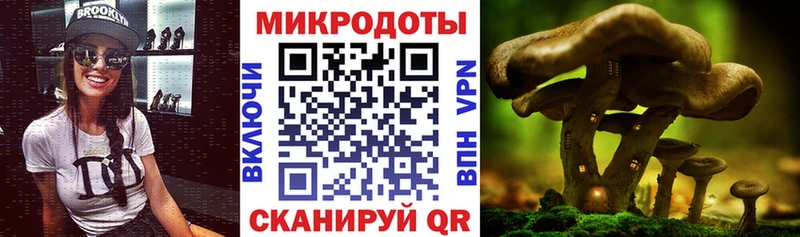 ОМГ ОМГ зеркало  Льгов  Псилоцибиновые грибы Psilocybine cubensis  цена  